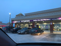 The Mega Gym