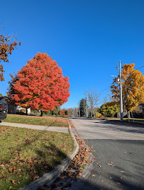 St Marys YMCA