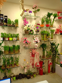FNP: Florist in Indore