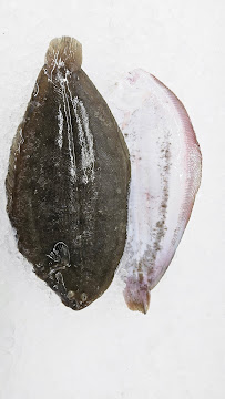 24 7 Seafood Distributor