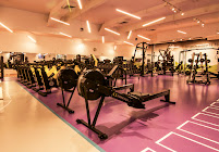 Alnakheel Premium