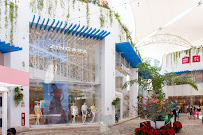 Zingara Swimwear - Paseo del Carmen