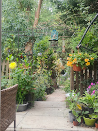 Home Renovation London