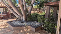 Arizona Termite & Pest Solutions