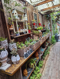 Pilgrims Way Community Bookstore and Secret Garden