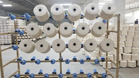 N. P. Cotton Mills Ltd