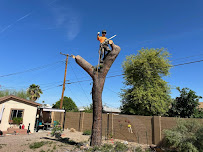 Arizona Yard Maintenance