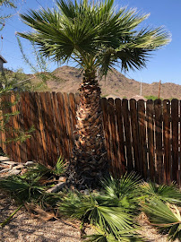 BJ's Landscaping LLC