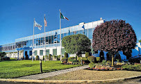 Conca D'oro Importers