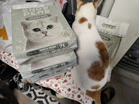 Pawpy Kisses Pet Shop & Pet Grooming Services