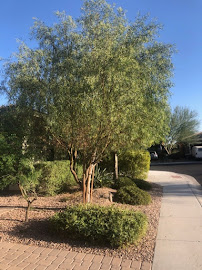 BJ's Landscaping LLC