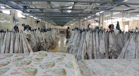 N.F.K Export Pvt Ltd