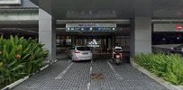 The Lovely Pets Puppies Singapore