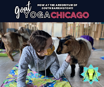 Goat Yoga Chicago - South Barrington, Illinois