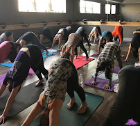 Jacaranda Yoga
