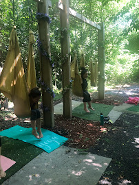 Lotus Moon Aerial Yoga