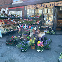 Roots & Fruits
