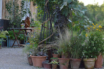 Abi & Tom's Garden Plants