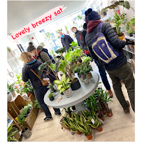 PlantsDOTcom