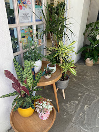 PlantsDOTcom