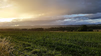 Hugh Grierson organic farm butchery