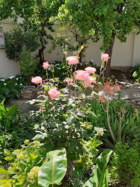 MONSERRAT INMOBILIARIA