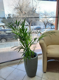 Marceca Bienes Raices