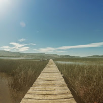 INMOBILIARIA FERRARA PROPIEDADES