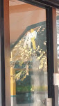 Inmobiliaria Sofia Fernandez Tosar