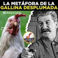 Bentancor Propiedades Chascomús