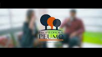 Propiedades Peumo