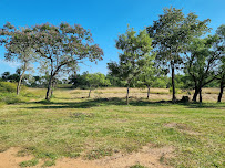 IDEAS COMERCIALES DEL PARAGUAY