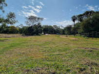 IDEAS COMERCIALES DEL PARAGUAY