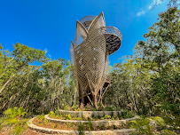 Caribbean Club Project - Real Estate in Rivera Maya