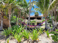 iMexico Real Estate Playa del Carmen