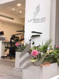Urbanovo SRL