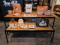 bluboho oakville