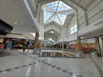 NOVALLUMINA® - Moissanite Engagement Rings and Loose Stones