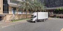 Lobo Management Services DMCC