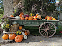 Strom's Farm & Bakery