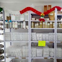 BioAlei Xalapa Veracruz