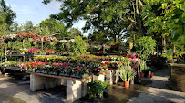 Native Sun Nursery & Landscaping, LLC