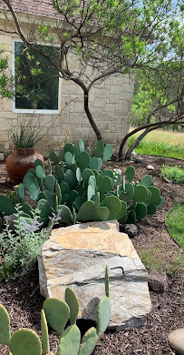 Texas Nativescapes