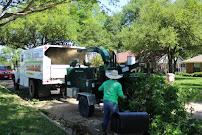 CG Tree Service Dallas