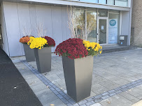 Brion Raffoul LLP