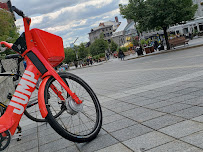 Steven Slimovitch - Criminal lawyer