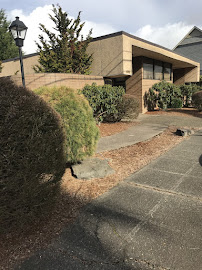 Mayor Law: Car Accident & Wrongful Death Lawyer