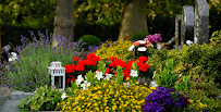 Lehigh Valley Immigration Law LLC