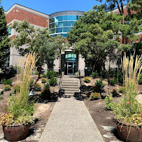 Law Offices of Alexzander C. J. Adams, P.C.