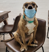 The Price Law Firm, PLLC